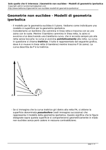 Geometrie non euclidee - Modelli di geometria iperbolica