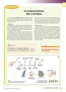 file  - Istituto Italiano Edizioni Atlas