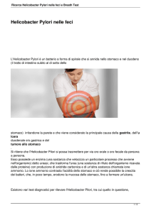 Ricerca Helicobacter Pylori nelle feci e Breath Test