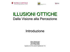 ILLUSIONI OTTICHE Dalla Visione alla Percezione