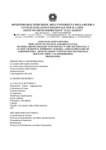Programma di Biotecnologie Vitivinicole 5 B