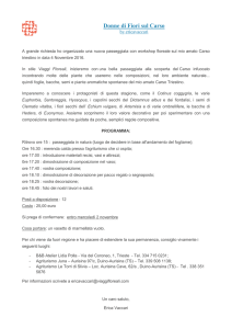 Donne di Fiori sul Carso