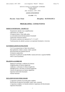 Programma consuntivo 3ª L