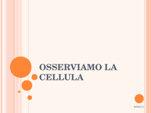 cellula - I.T.I.S. Fermi