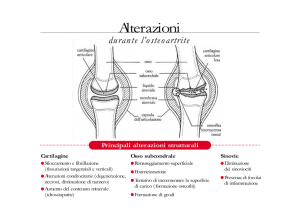 Relazione osteoartrite - integratori