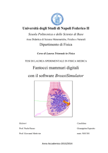 Fantocci mammari digitali con il software BreastSimulator