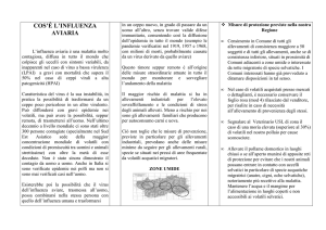 COS`È L`INFLUENZA AVIARIA