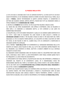 Il puzzle della vita
