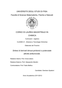 TESI agg. 15-4-2013 senza ringraziamenti.