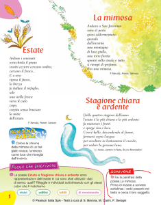 Poesie sull`estate