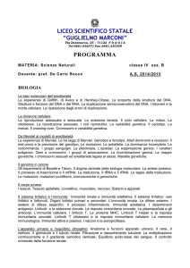 liceo scientifico statale “guglielmo marconi - Liceo Marconi