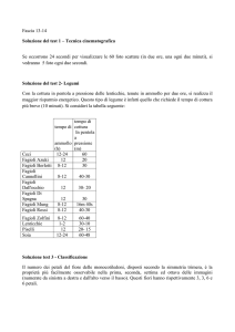 Fascia 13-14 Soluzione del test 1 – Tecnica cinematografica Se