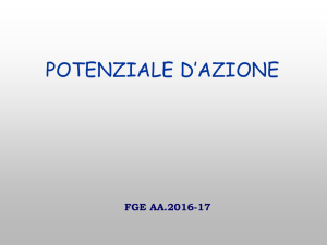 Presentazione di PowerPoint