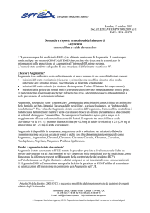 amoxicillina e acido clavulanico - EMA