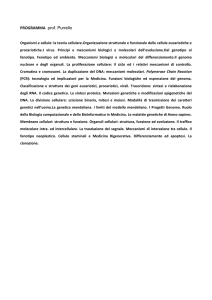 PROGRAMMA prof. Purrello