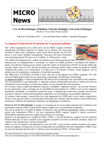 Micronews 5 8 - Policlinico S.Orsola