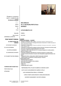 SISU ANGELICA VIA G. DELFINI,NR.8,PRATO,ITALIA 3667006251