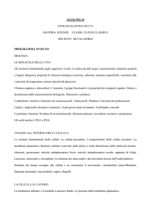 liceo pio xi - Pioundicesimo