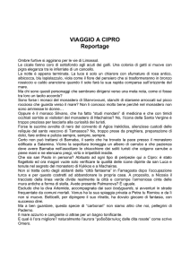 VIAGGIO A CIPRO Reportage