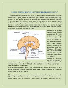 PSICHE - SISTEMA NERVOSO -SISTEMA ENDOCRINO E IMMUNITA`