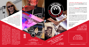 centro di formazione per musicisti e cantanti rock - black swan