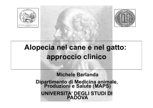 Lezione 13 File - e