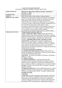 Programma di Biologia Biologia Molecolare e