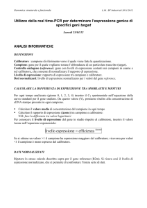 PL - GIORNO 4