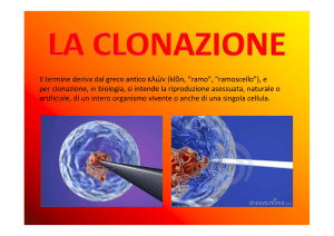 Il termine deriva dal greco antico κλών (klōn, “ramo