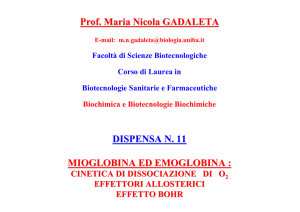 O - Classi di Laurea in Biotecnologie - Bari