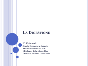 La Digestione