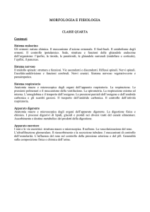 morfologia e fisiologia