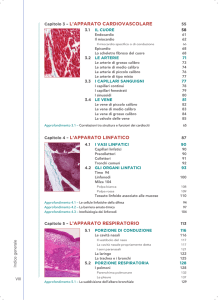 Capitolo 3 – L`APPARATO CARDIOVASCOLARE Capitolo 4