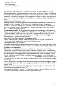Anemia mediterranea
