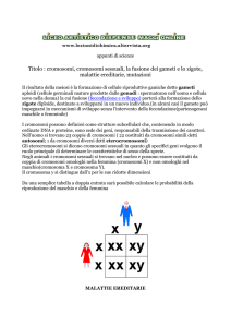 cromosomi, cromosomi sessuali, la fusione dei gameti e lo zigote