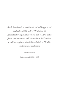 - AMS Dottorato