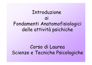Introduzione ai Fondamenti Anatomofisiologici delle attività