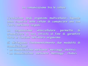 comunicazione chimica e ghiandole endocrine 1