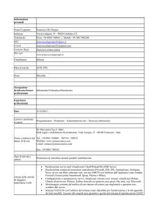 curriculum vitae pdf