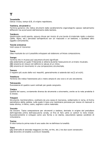 T - Museo Nazionale degli Strumenti Musicali