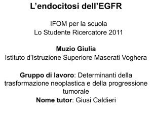Diapositiva 1 - Istituto Maserati