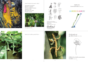 albere e alberi