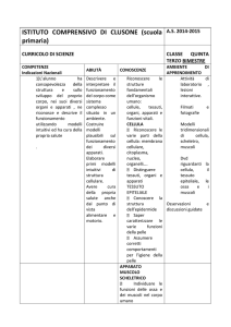 ISTITUTO COMPRENSIVO DI CLUSONE (scuola primaria)