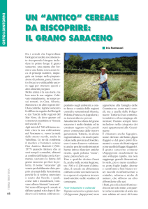 UN “ANTICO” CEREALE DA RISCOPRIRE: IL GRANO SARACENO