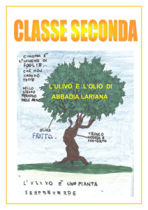 L`ULIVO E L`OLIO DI ABBADIA LARIANA