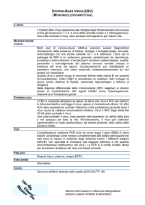 EPSTEIN-BARR VIRUS (EBV) (MONONUCLEOSI INFETTIVA