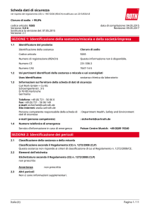 Scheda Dati di Sicurezza: Cloruro di sodio