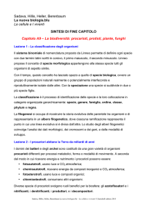 La biodiversità: procarioti, protisti, piante, funghi