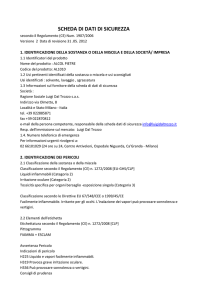 AL1010 Alcol per pietre