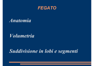 Esterita Accogli
